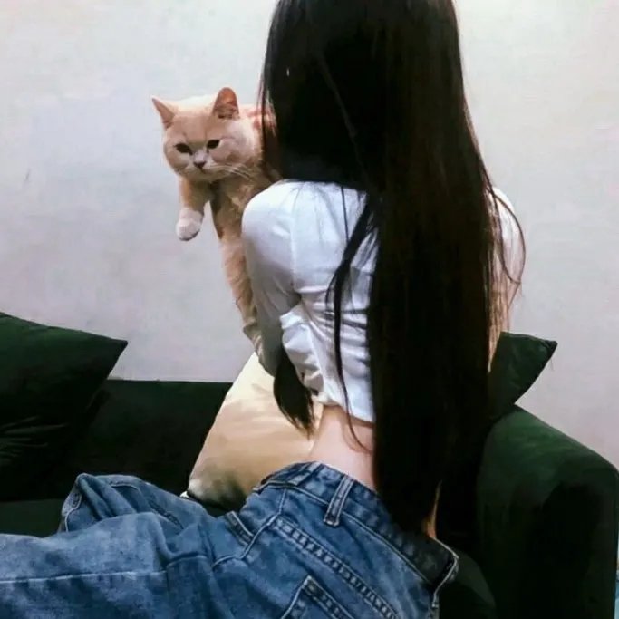 大案组